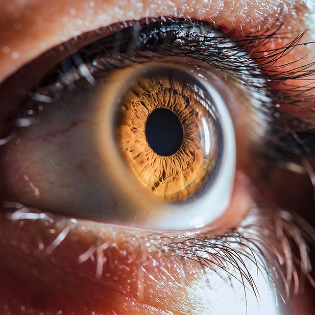 Can_eye_color_change_over_time?_row_4