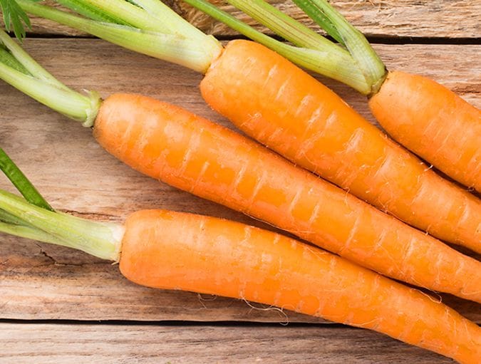 carrots_in_the_dark_row_1