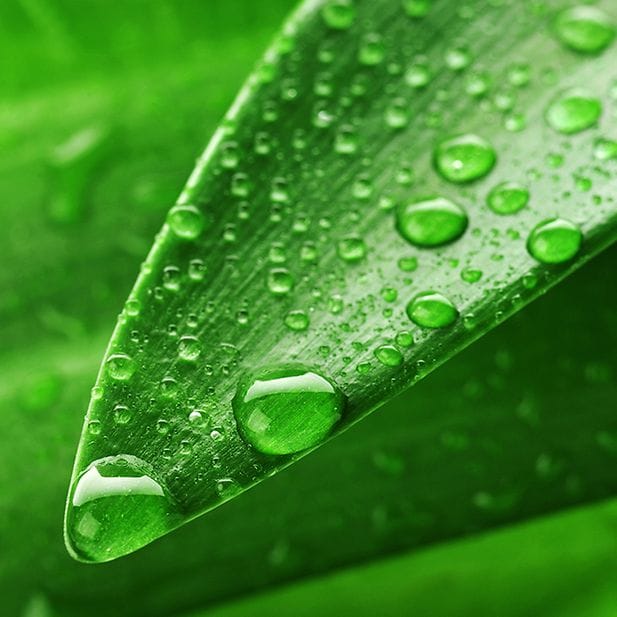 BLOG_que-son-lentillas-inteligentes_ES_Inline_1