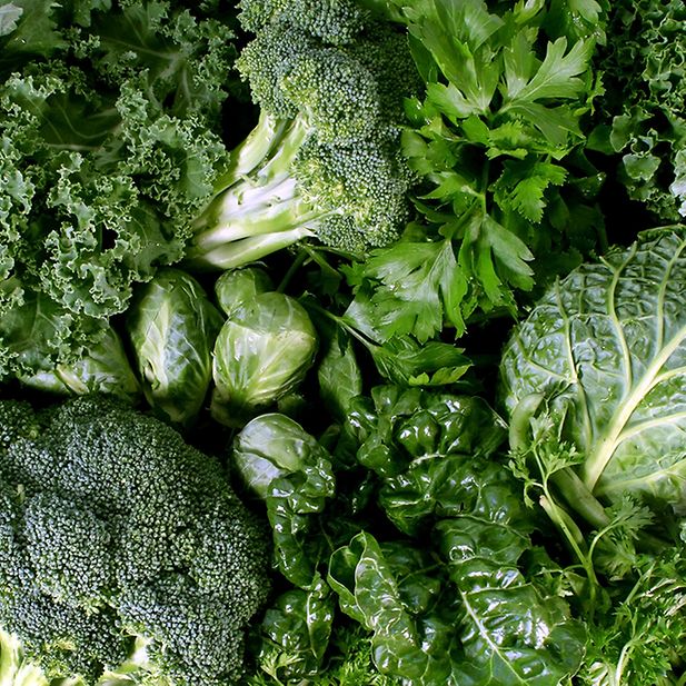 8_Foods_Good_for_Your_Eyes_row_8
