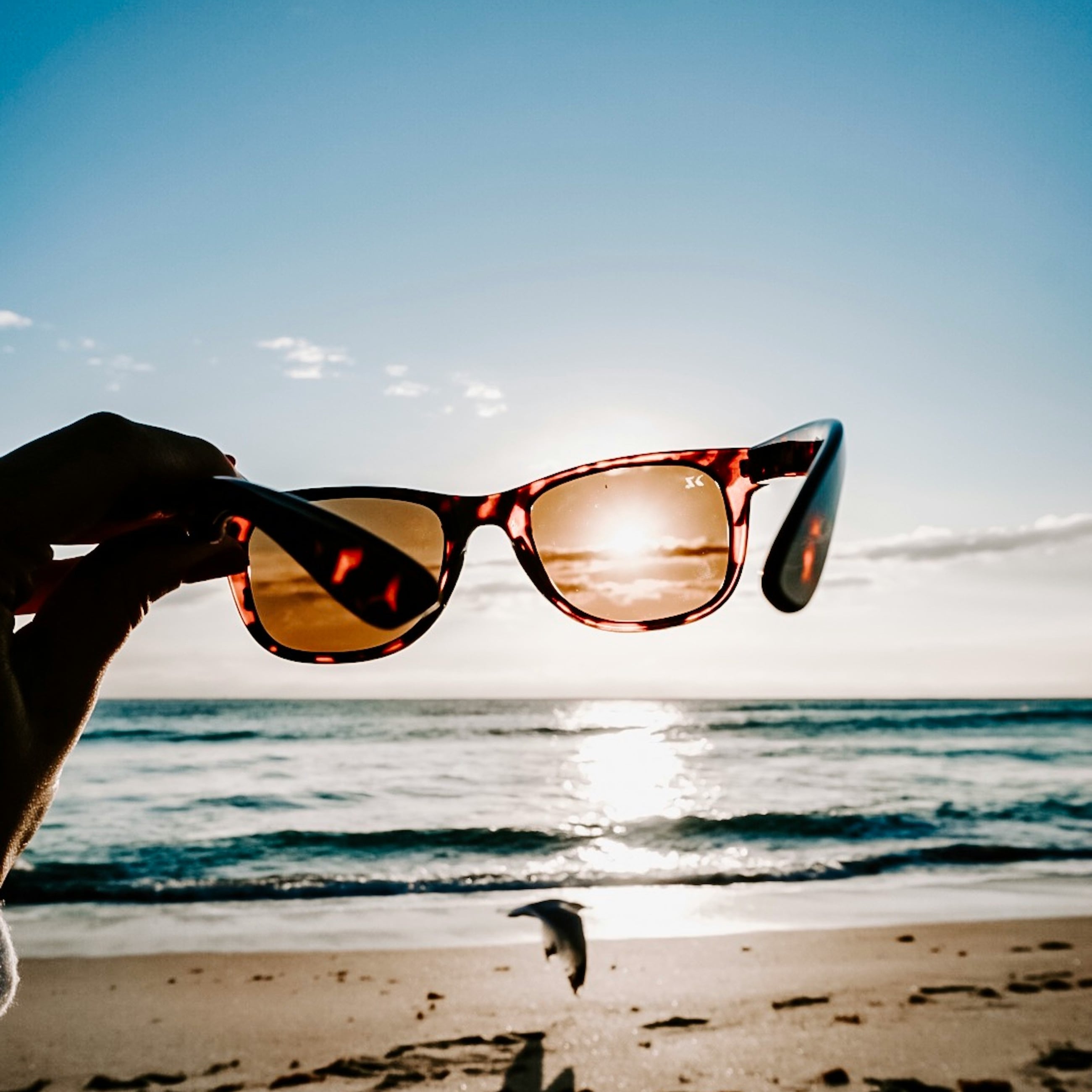 Lentillas_de_verano_row_8